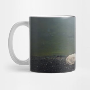 white wolf dog Mug